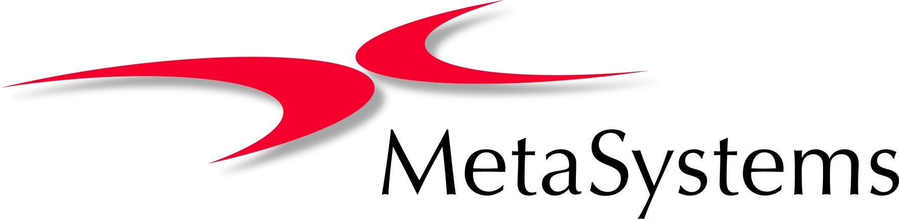 Metasystems logo 